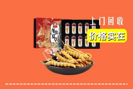 黄浦区回收虫草