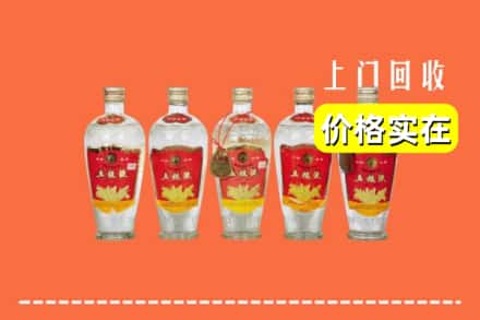 黄浦区回收老五粮液
